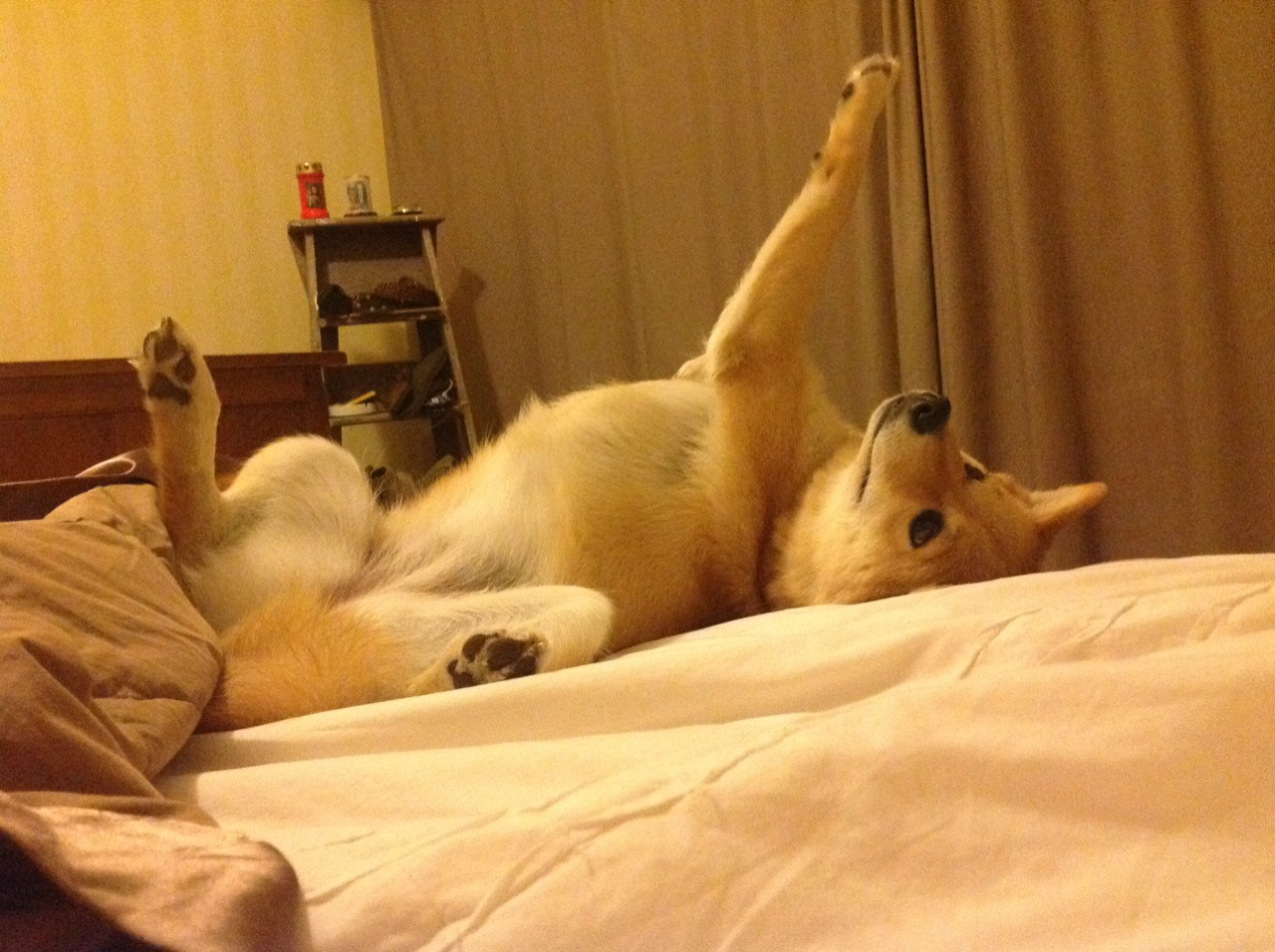 开云·体育全站登录地址-_勇士再次开火，三分连续命中_，勇士几连败了