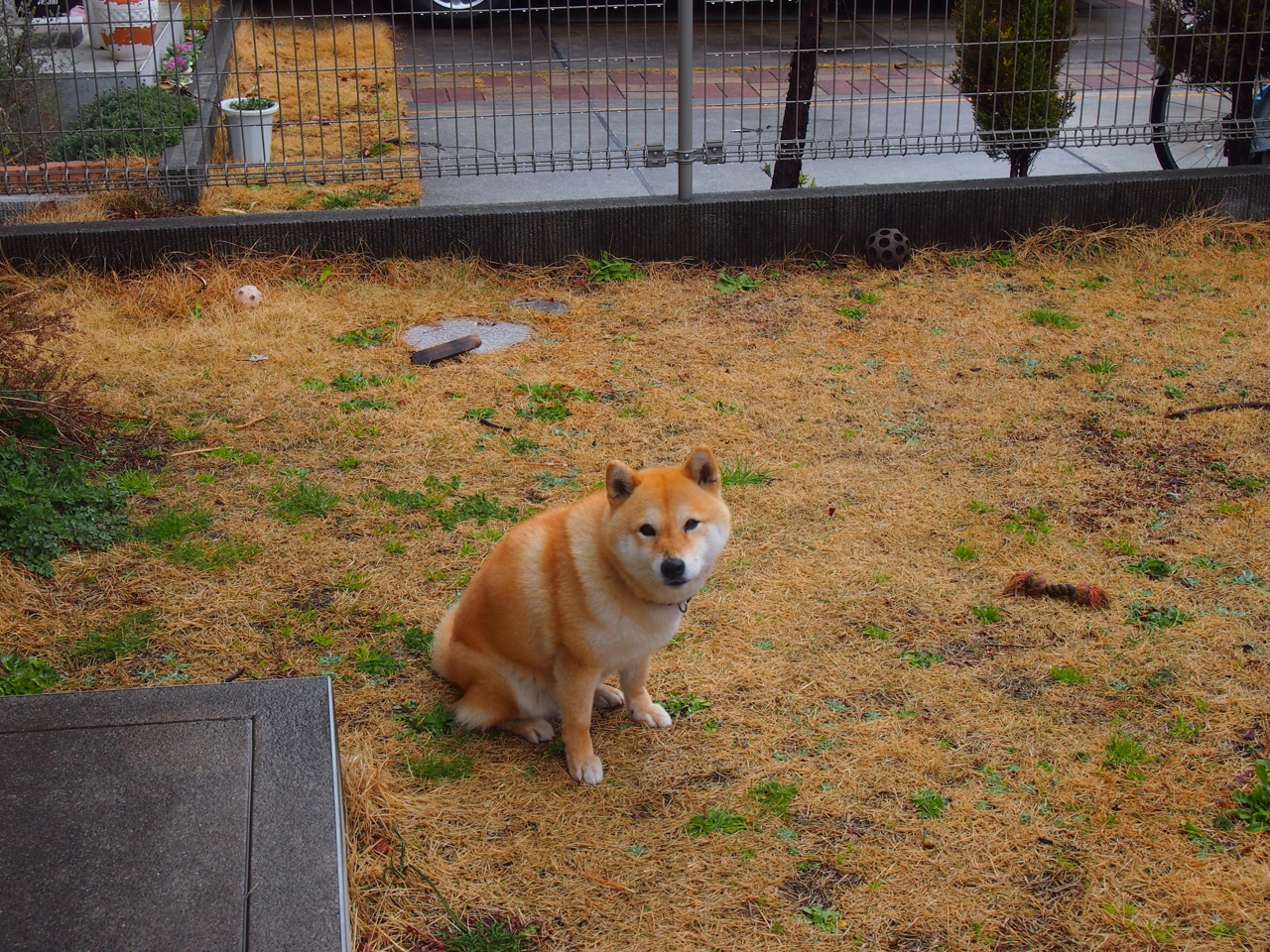 开云体育登陆入口-_老鹰快攻犀利，精彩对决不断_，老鹰秒训