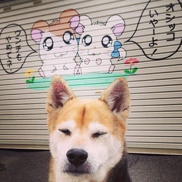 开云电竞平台注册-“西甲明星连续制造惊喜，带领球队冲刺佳绩”，西甲名人