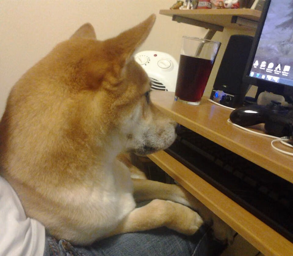 开云官网APP下载-以“智慧体育”理念打造未来国际水准赛事平台，智慧体育产业发展有限公司